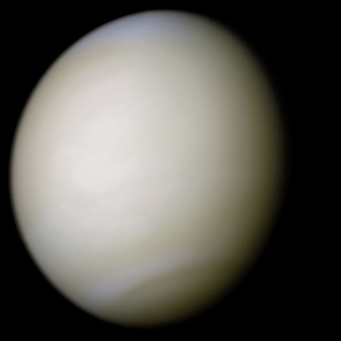 an image of Venus